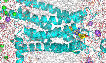 Tandem AI Democratizing Access to HPC for Computer Aided Drug Discovery with Exxact Cluster