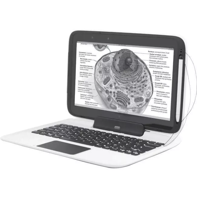 PAN-3E-TL10IE2-KB-00