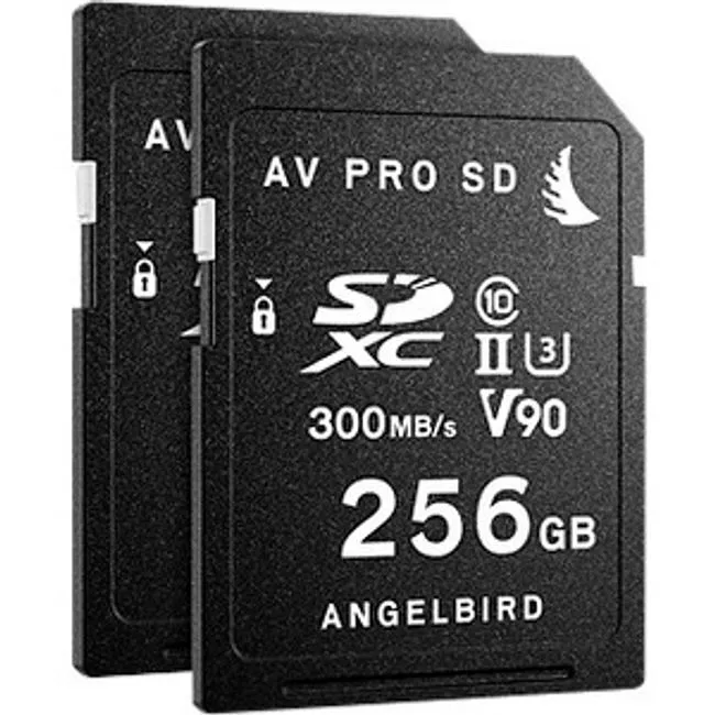 ANG-MP-GH5-256SDX2-00
