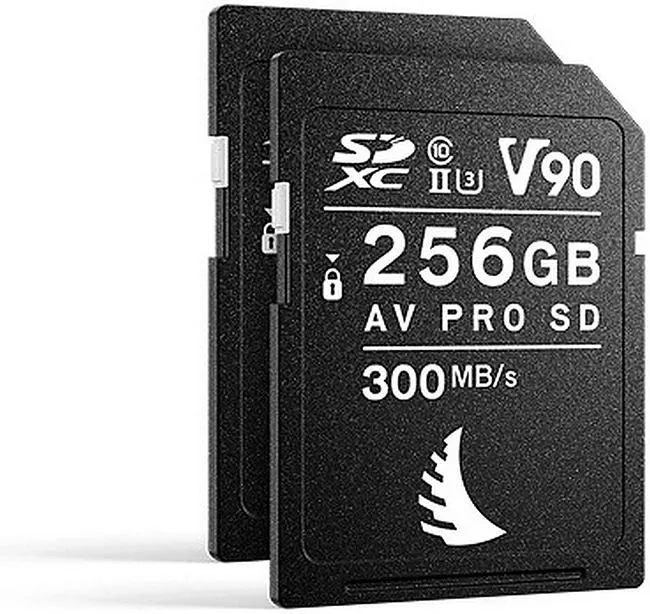 ANG-MP-XT3-256SDV90X2-00