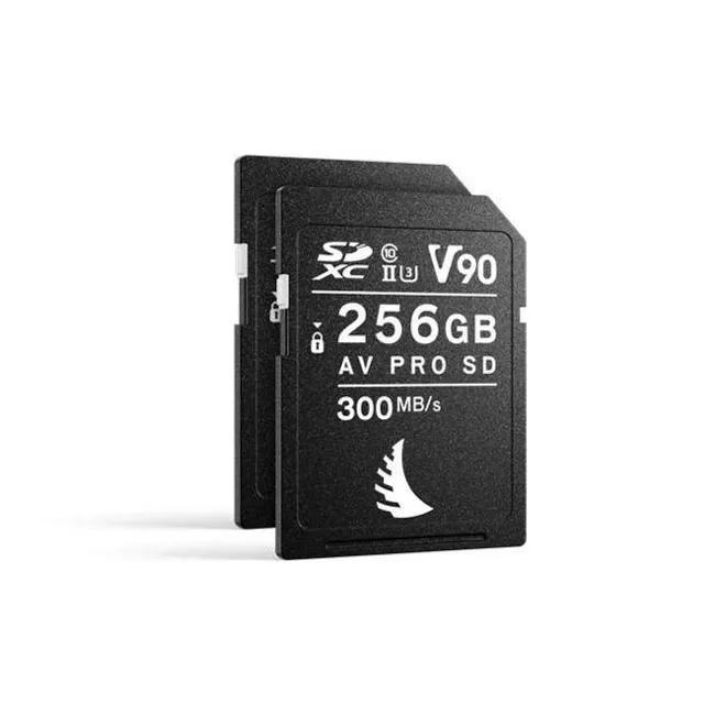 ANG-MP-R6-256SDV90X2-00