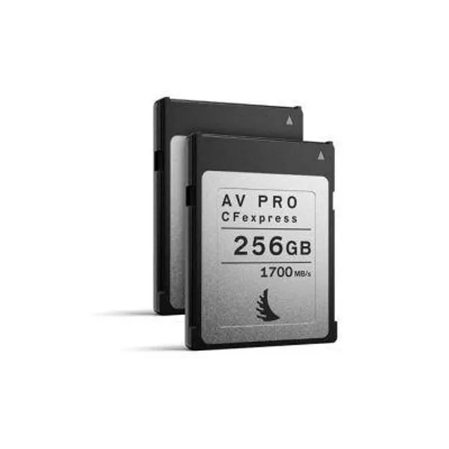 ANG-MP-D6-256CFXX2-00