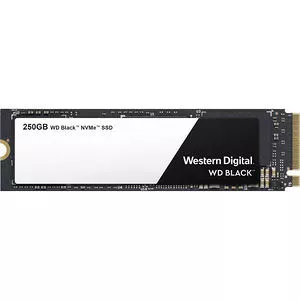 WDG-WDS250G2X0C-00