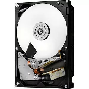 WDG-0F22794-00